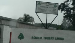 Border Timbers set for judicial management exit