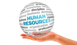 The value of HR service delivery in transformed workspaces